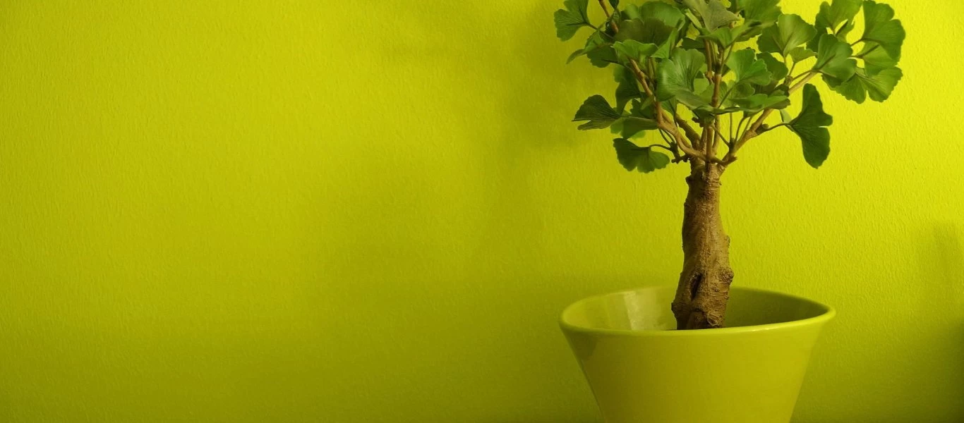 5+1 τρόποι για να διώξετε την κακή ενέργεια από το σπίτι σας